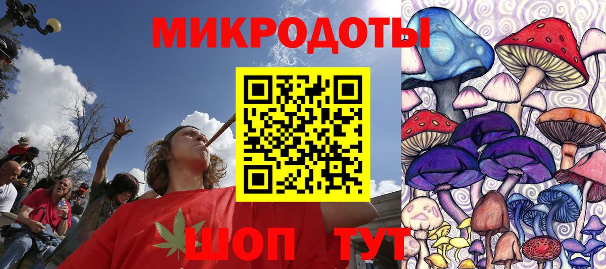 Будённовск  Галлюциногенные грибы Psilocybe  Вход с VPN 