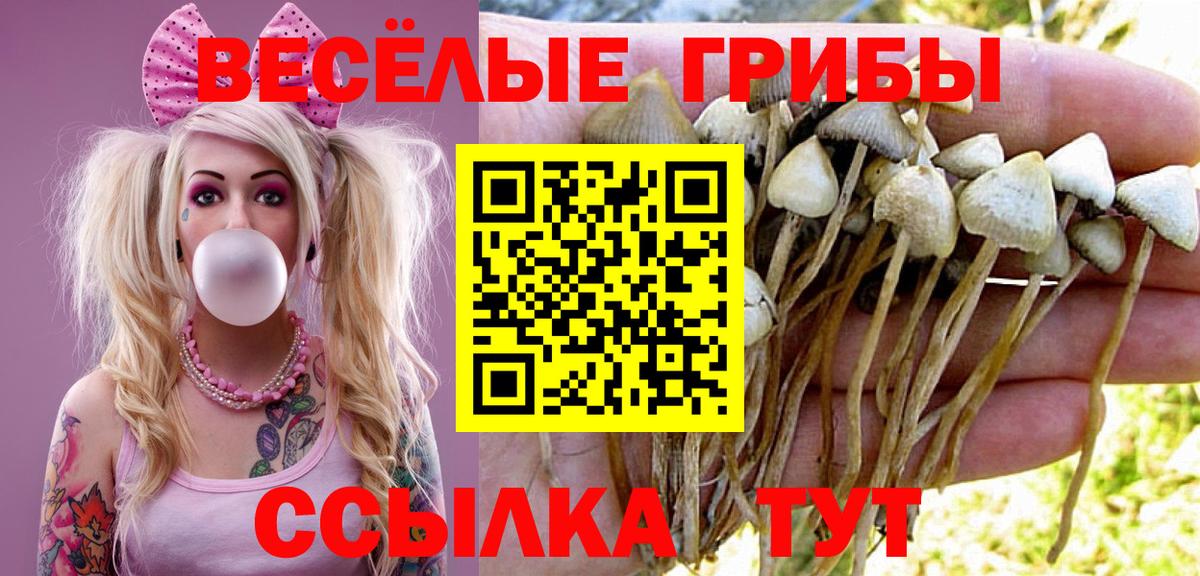 Кокаин  Канабис  Гашиш  Будённовск  Цена  ГАШИШ  Альфа ПВП СК кристаллы  Cocaine  Экстази  Вход с VPN  Меф МЯУ МЯУ кристаллы  MDMA 